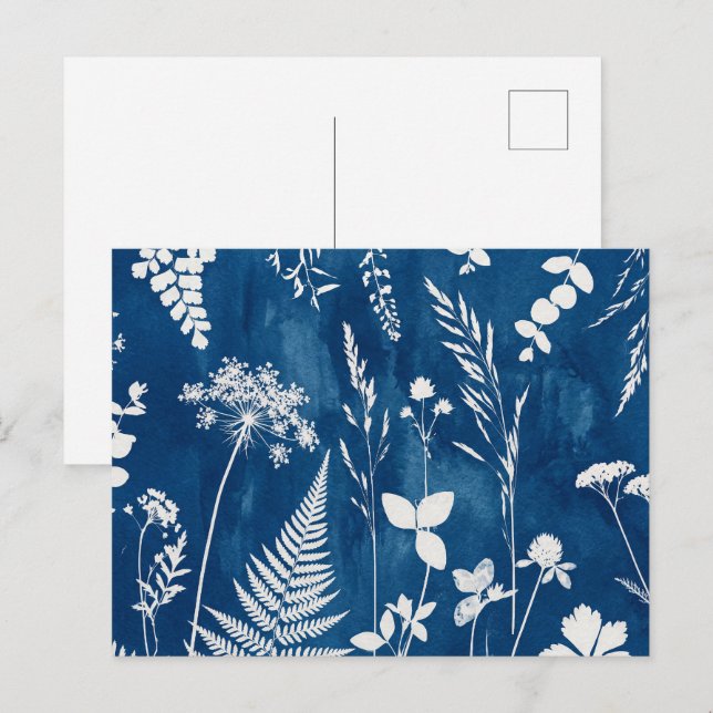 Prussian Indigo Blue Cyanotype Fern Botanical Art Postcard (Front/Back)