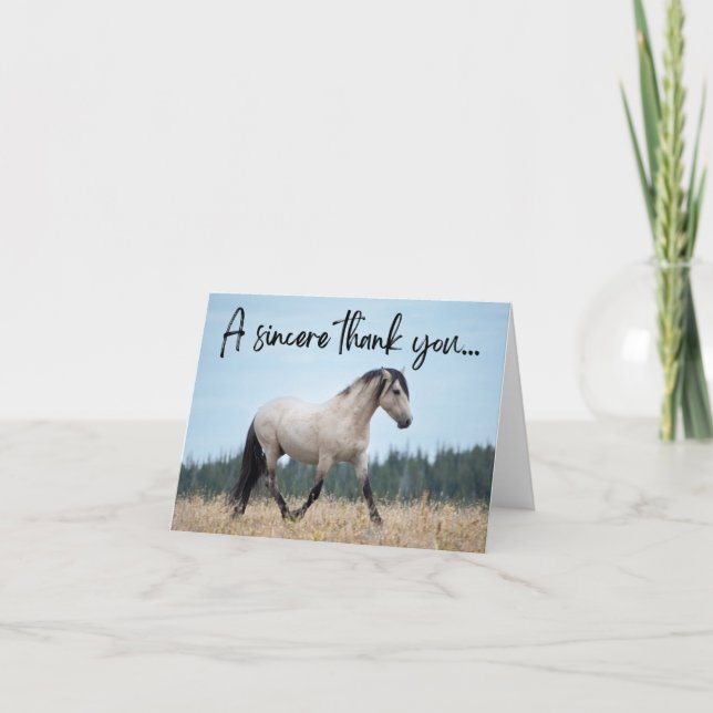 Pryor Mountain Wild Horse Thank You Card (Front)