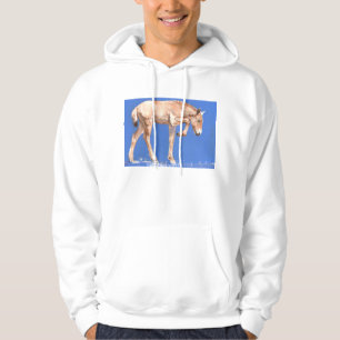 Przewalski Foal 2012 Hoodie