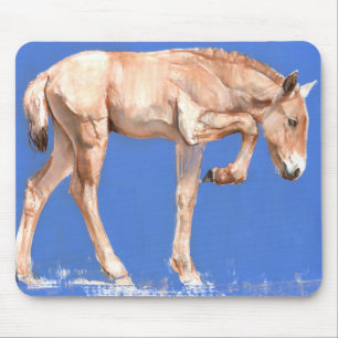 Przewalski Foal 2012 Mouse Mat