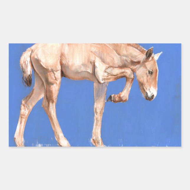 Przewalski Foal 2012 Rectangular Sticker (Front)
