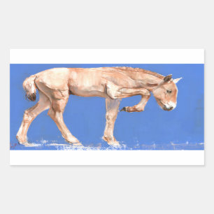 Przewalski Foal 2012 Rectangular Sticker