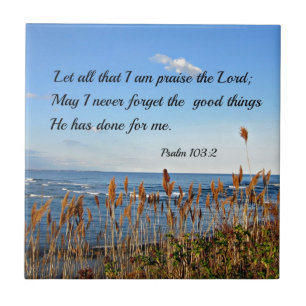 Psalm 103:2 Let all that I am praise the Lord... Tile