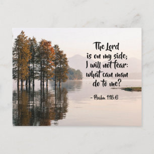 Psalm 118:6 Lord is on my side I will not fear Postcard