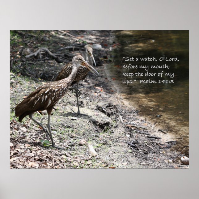 Psalm 141:3 Scripture Poster (Front)