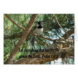 Psalm 150:6, Chicadee, Oriole & Chickens