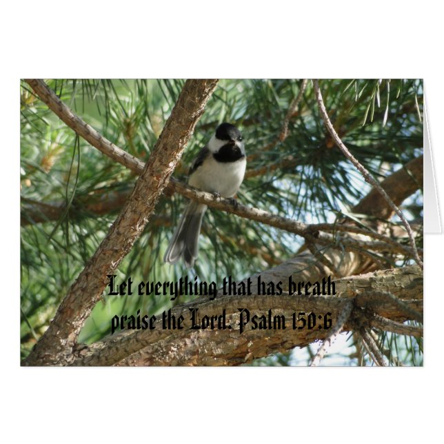 Psalm 150:6, Chicadee, Oriole & Chickens (Front Horizontal)