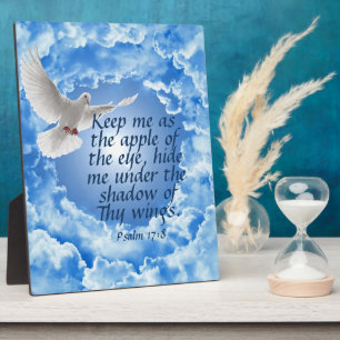 Psalm 17:8   plaque
