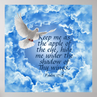 Psalm 17:8  poster