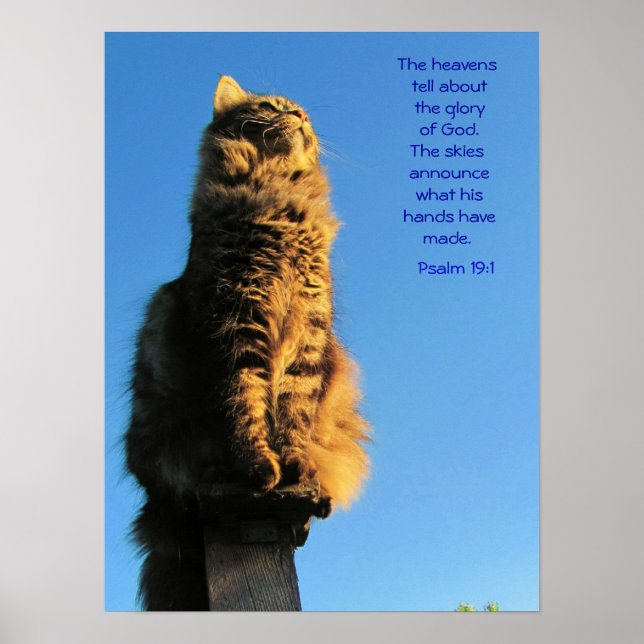 Psalm 19:1 Angel Cat Meme Poster (Front)