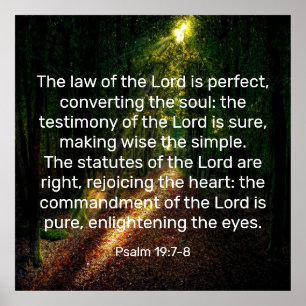 Psalm 19:7-8  poster