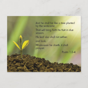 Psalm 1 - And he shall be like a tree .... Postcard