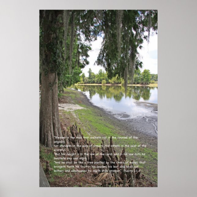 Psalm 1 Scripture Poster, Version C Poster (Front)