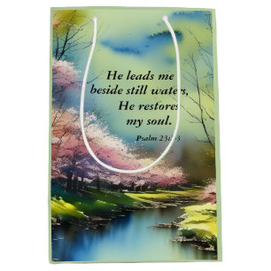 Psalm 23:2-3 He restores my soul Bible Verse  Medium Gift Bag