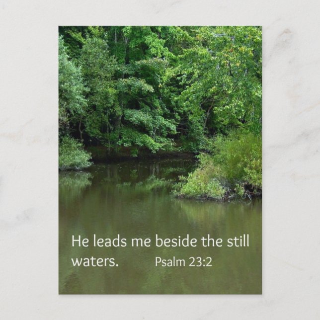 Psalm 23:2 He leads me beside the still waters Postcard (Front)