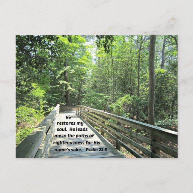 Psalm 23:3 He restores my soul, He leads me in the Postcard (Front)