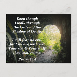 Psalm 23:4 I will Fear No Evil Bible Verse Memory Postcard