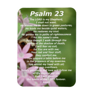Psalm 23  (4) magnet