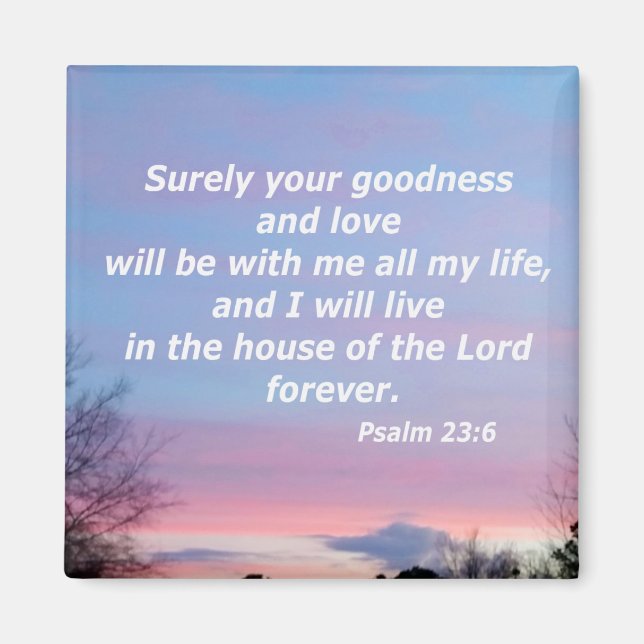 Psalm 23:6 magnet (Front)