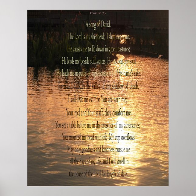 Psalm 23 A song for David Poster (Front)