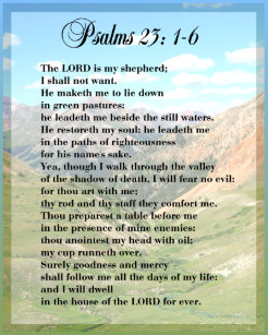 Psalm 23 Art Wall Décor Zazzlecouk