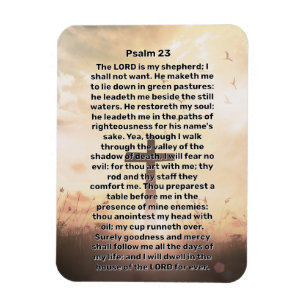Psalm 23 Illuminated Cross  Magnet