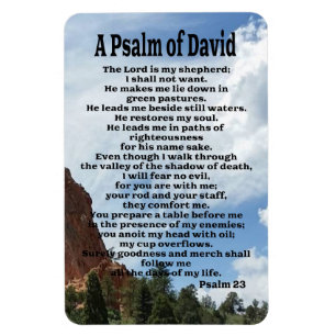 Psalm 23 magnet