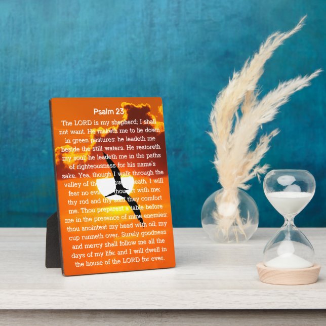Psalm 23 Orange Sunset Seagull Plaque (Side)