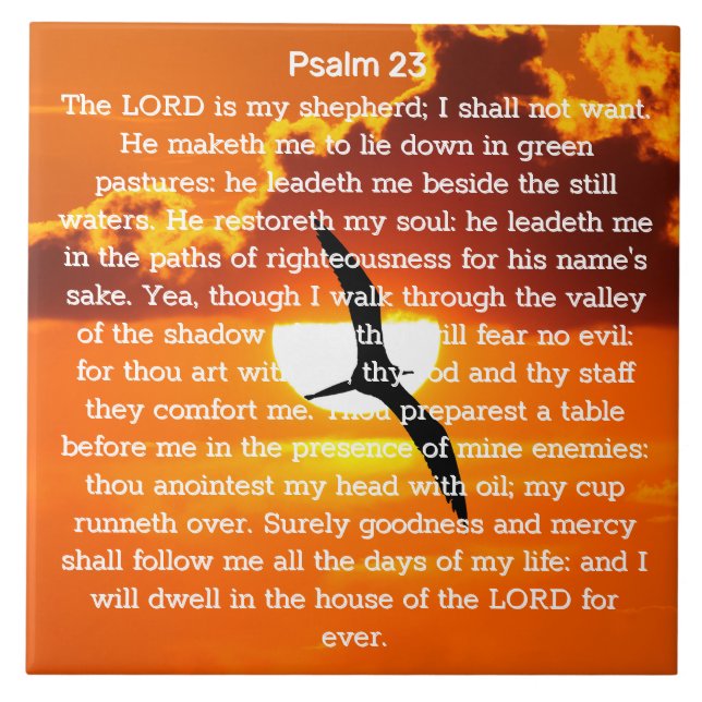 Psalm 23 Orange Sunset Seagull Tile (Front)