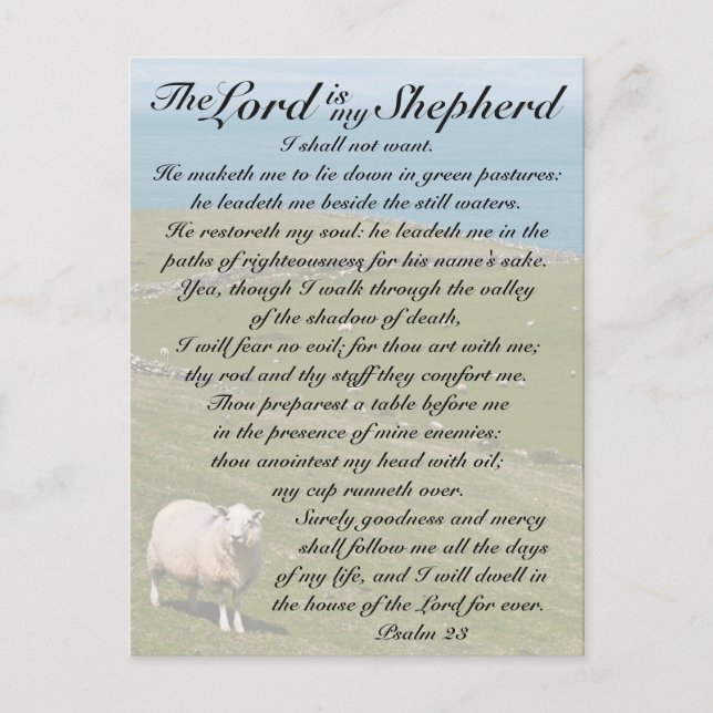 Psalm 23 The Lord is my shepherd, Irish Field Postcard (Front)