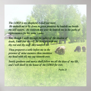 Psalm 23 The Lord Is My Shepherd Poster