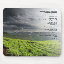 Psalm 23 The Lord Is My Shepherd Vineyard Art