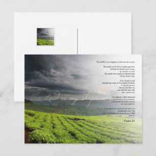 Psalm 23 The Lord Is My Shepherd Vineyard Art Postcard