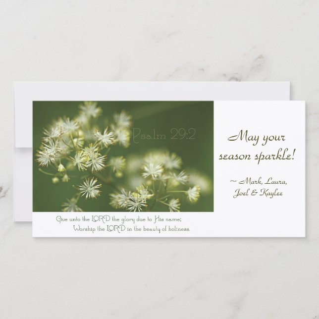 Psalm 29:2 Scripture photocard Holiday Card (Front)