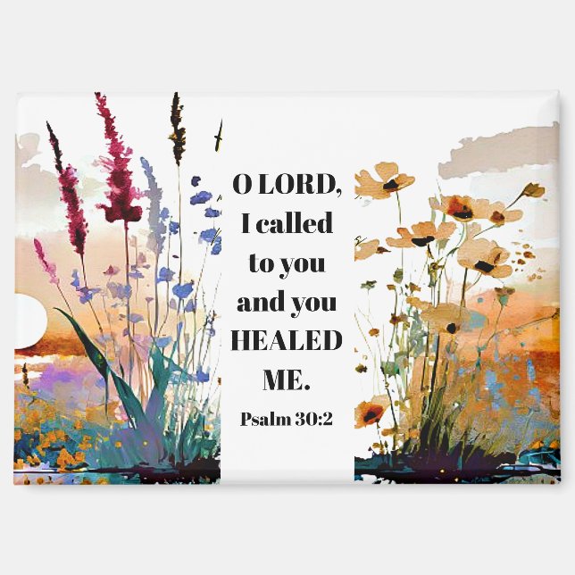 Psalm 30:2 O Lord You healed me Christian Bible Magnet (Front)