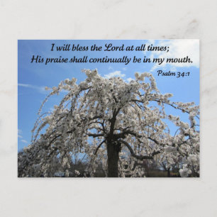 Psalm 34:1 postcard