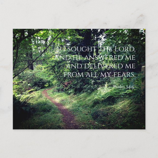 Psalm 34:4 Calm Woodland Path Postcard (Front)