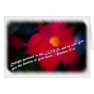 Psalm 37:4 on White