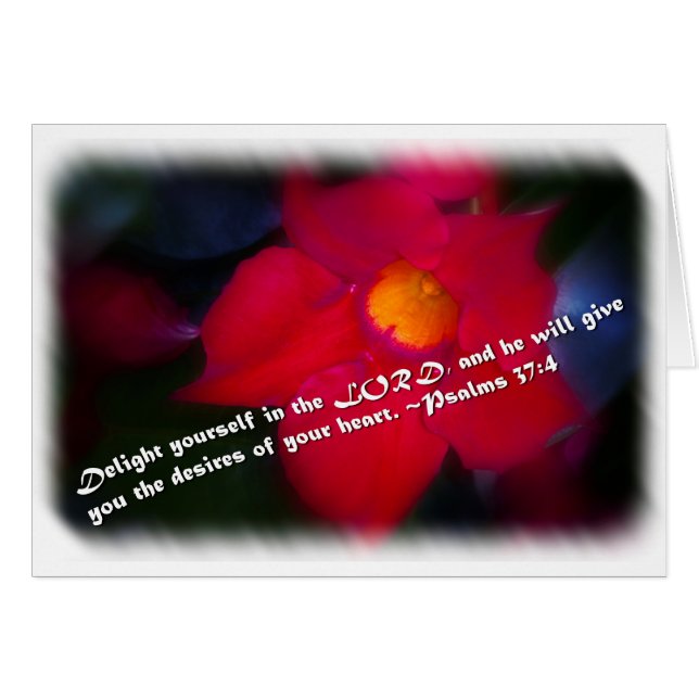 Psalm 37:4 on White (Front Horizontal)