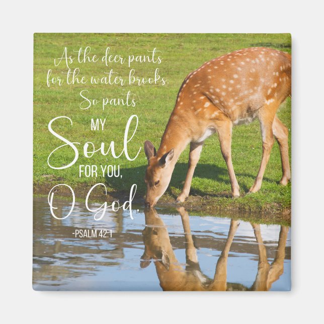 Psalm 42:1 As the Deer Pants for the Water Bible Magnet (Front)