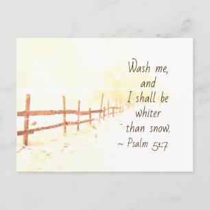 Psalm 51:7 Wash me and I shall be whiter than snow Postcard