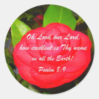 Psalm 8:9