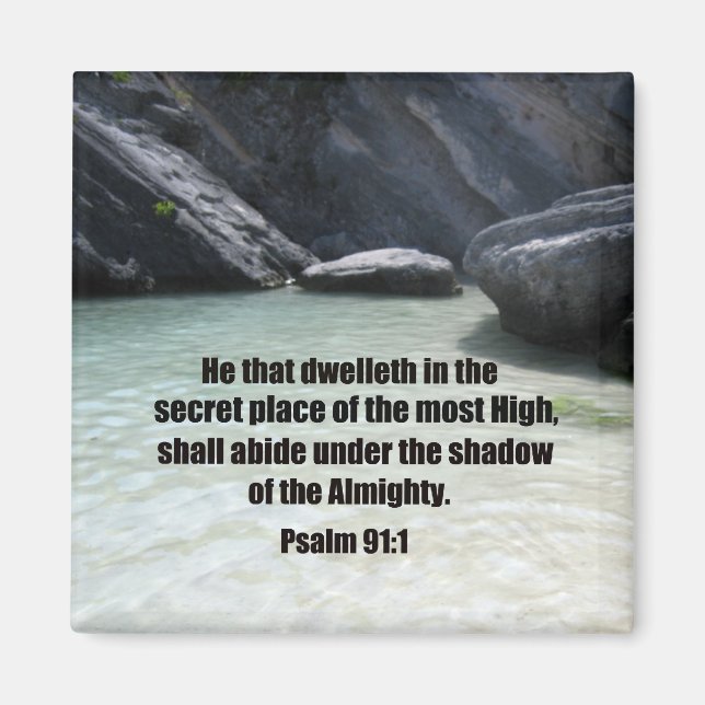 Psalm 91:1 magnet (Front)
