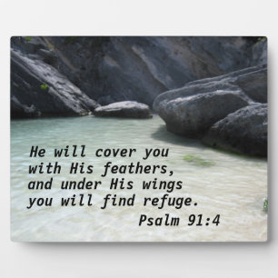 Psalm 91:4 He will cover you with His feathers Plaque
