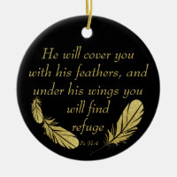 Psalm 91:4 Wings God's protection Bible Scripture