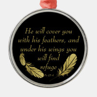 Psalm 91:4 Wings God's protection Bible Scripture
