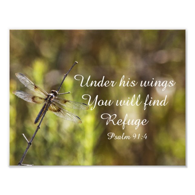 Psalm 91:4 With dragonfly Photo Print (Front)