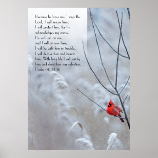 Psalm 91, Christian poster with a red bird