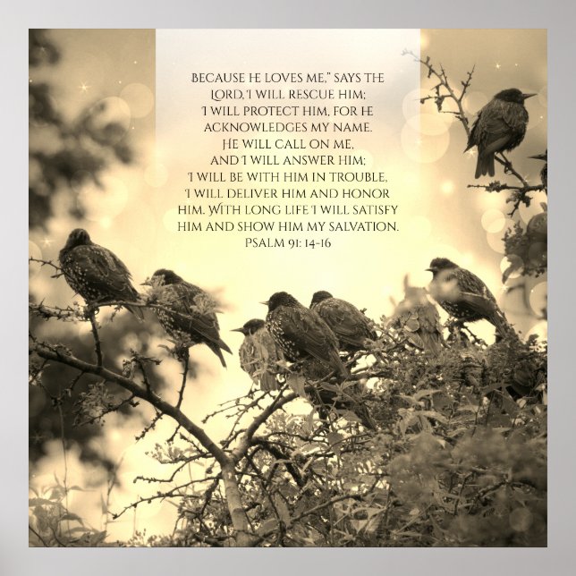 Psalm 91, Christian poster with birds on the tree (Front)