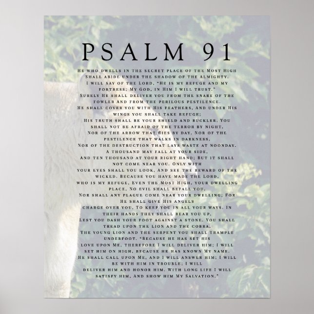  Psalm 91 Lion Head Christian Poster (Front)